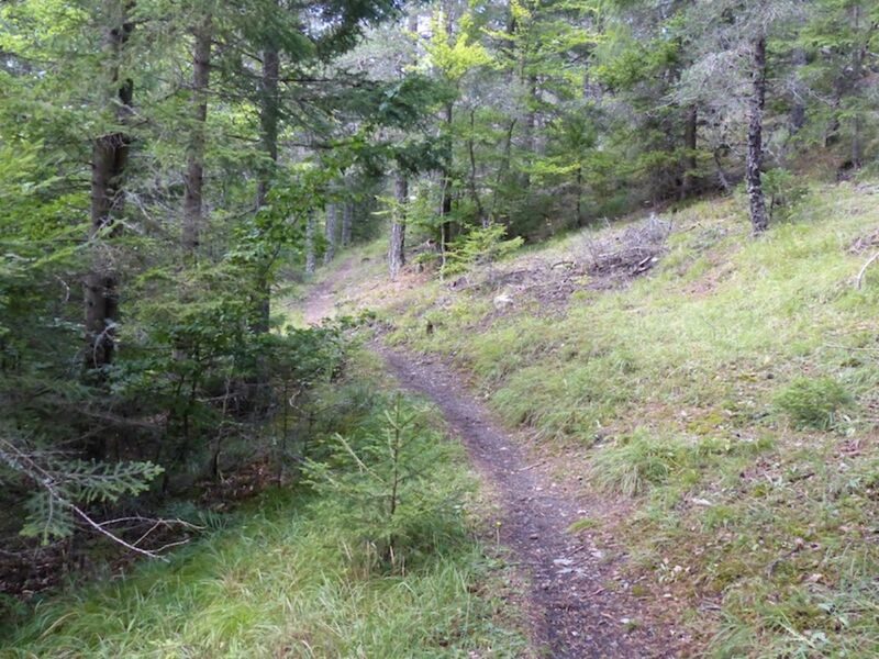 Forêt de Fontbelle