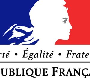 Drapeaux republique française