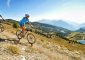 VTT
