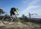VTT