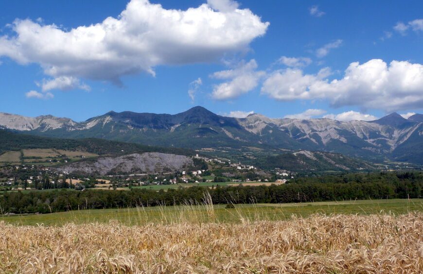 Panorama