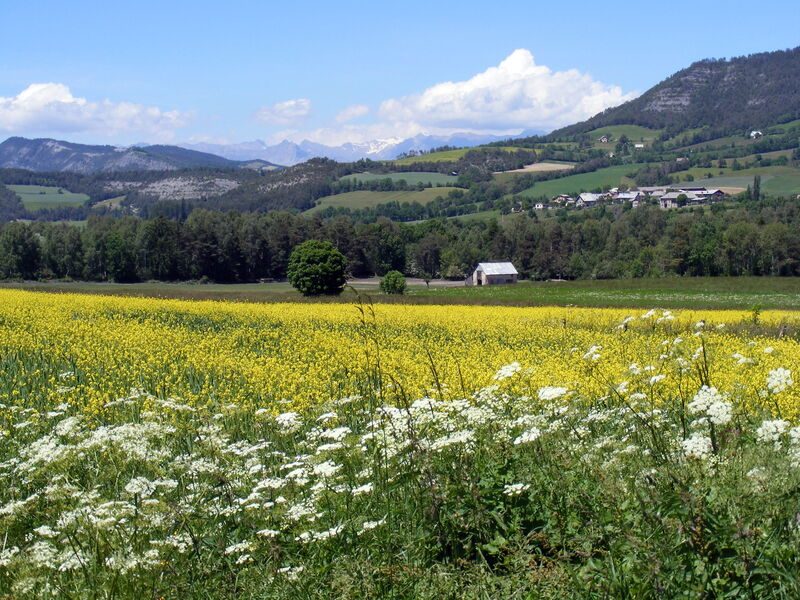 Paysage