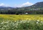 Paysage