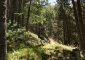 Rando Vtt