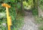 Sentier