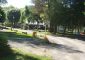 Camping La Blanche