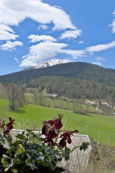 Panorama