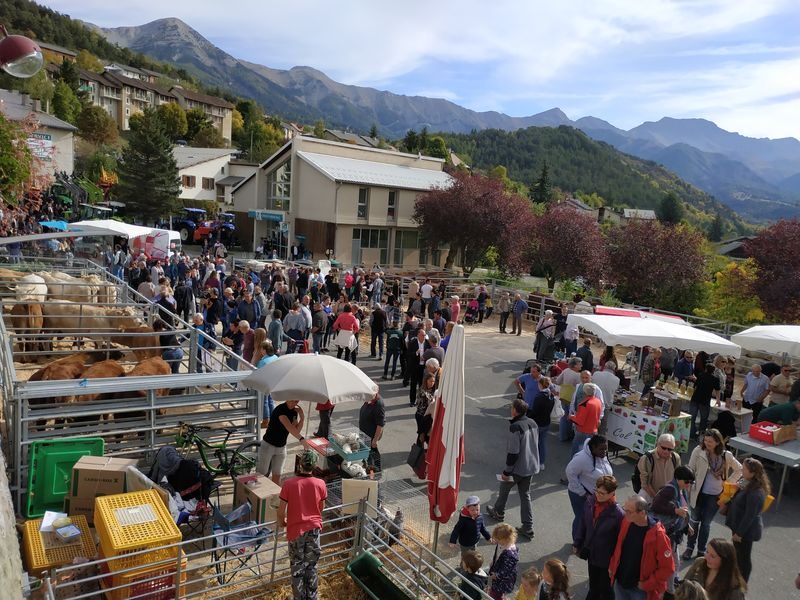 Foire agricole de Seyne