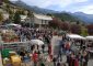 Foire agricole de Seyne