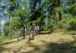 VTT Le bois Noir