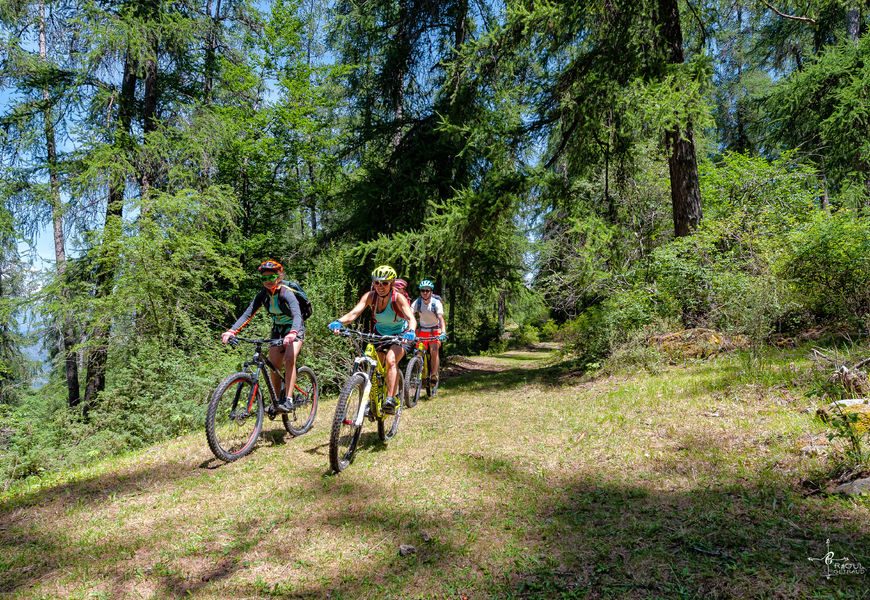 VTT Le bois Noir