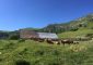 Cabane des mulets