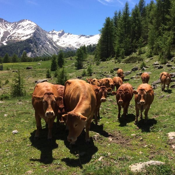 ferme_de_Bernardez