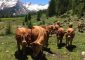 ferme_de_Bernardez