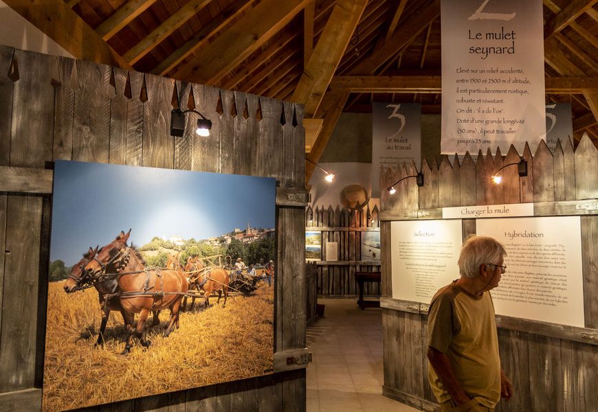 expo permanente Maison du Mulet