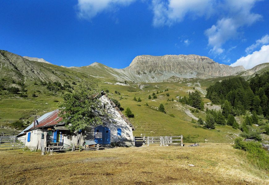 La Cabane des mulets n°15