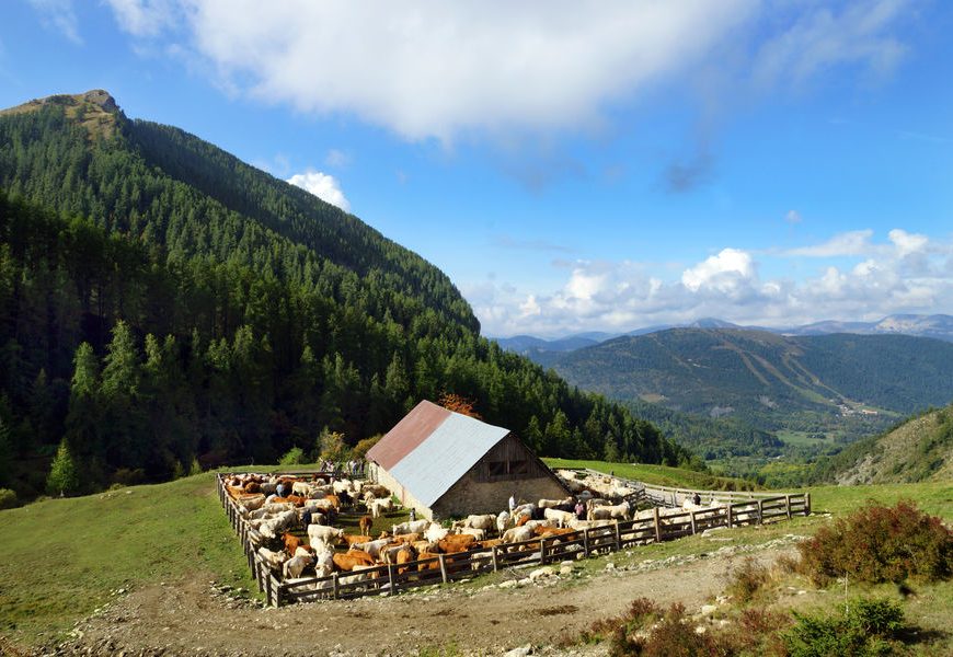 La Cabane des mulets n°15