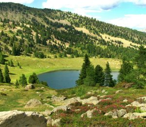 Le lac noir n°22