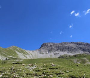 Le Tour de Tourtourel n°28
