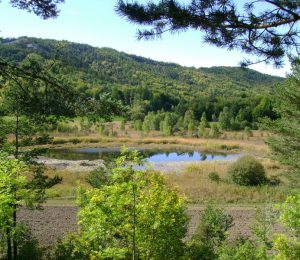 Le lac de St Léger