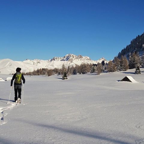 Accompagnateur en Montagne Louis Teyssier