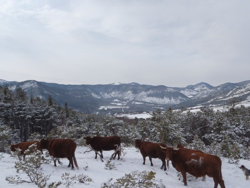 Ferme des Pélissones