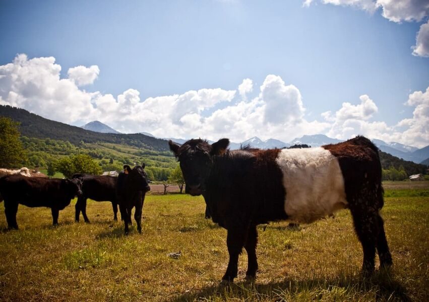 Ferme des Pélissones